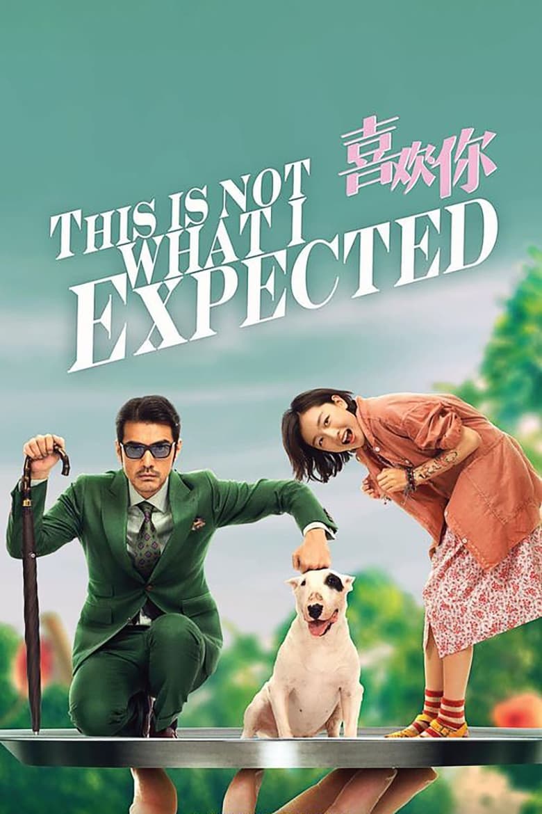 This Is Not What I Expected (2017)