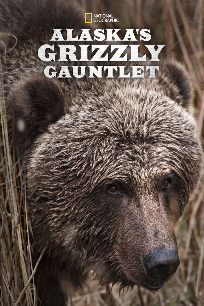 Alaska’s Grizzly Gauntlet (2018)