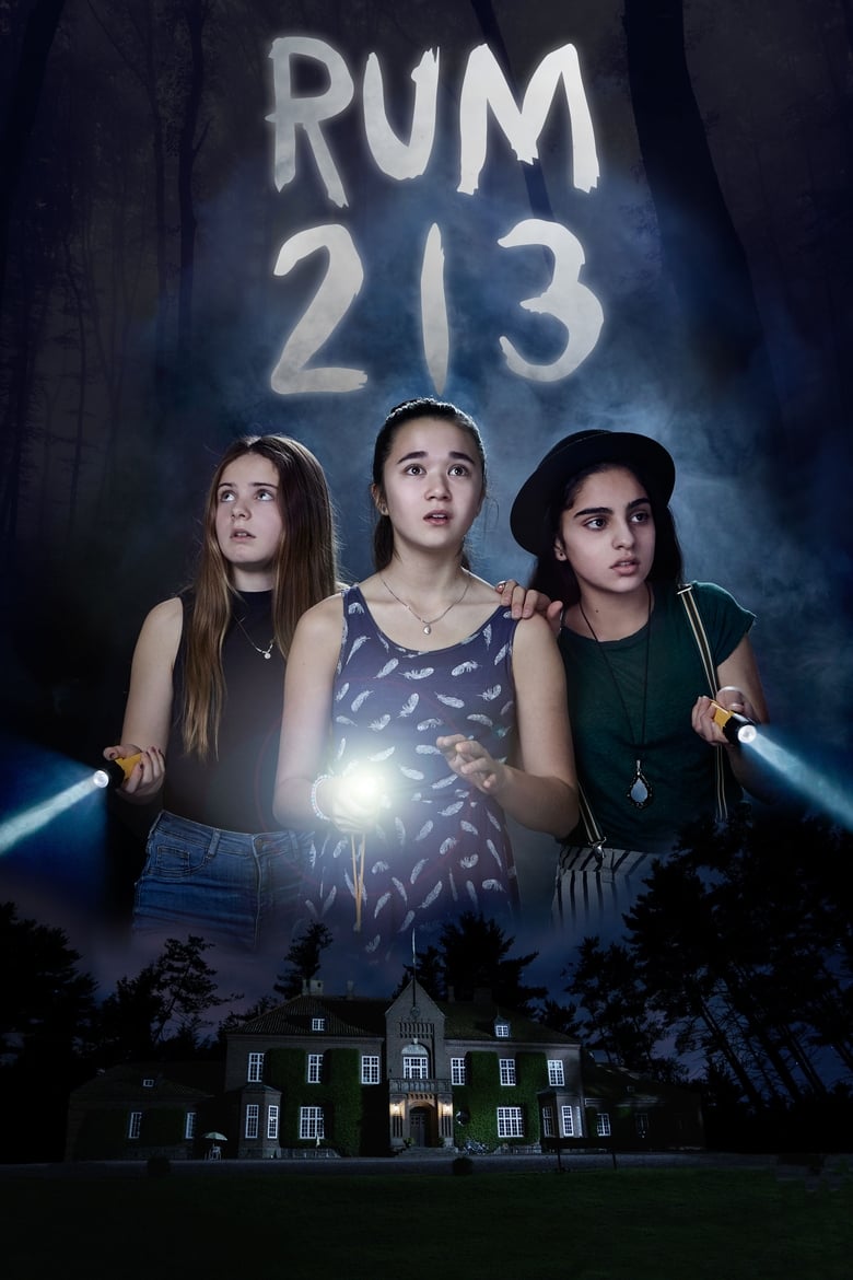 Room 213 (2017)