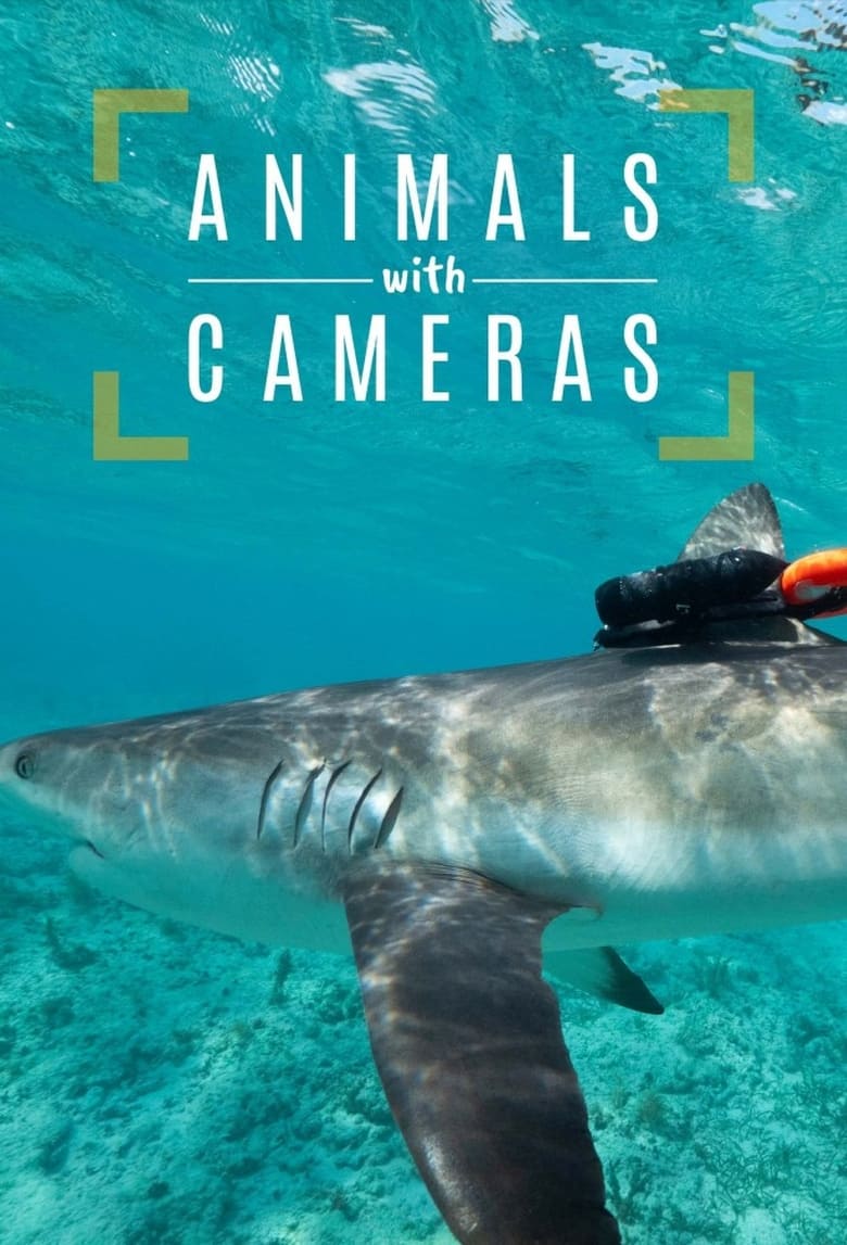 Animals with Cameras, A Nature Miniseries (2018)