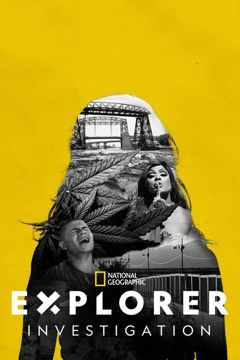 Explorer Investigation (2018)