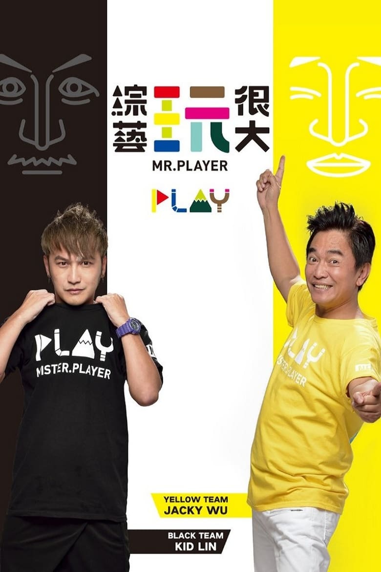 Mr. Player (2014)