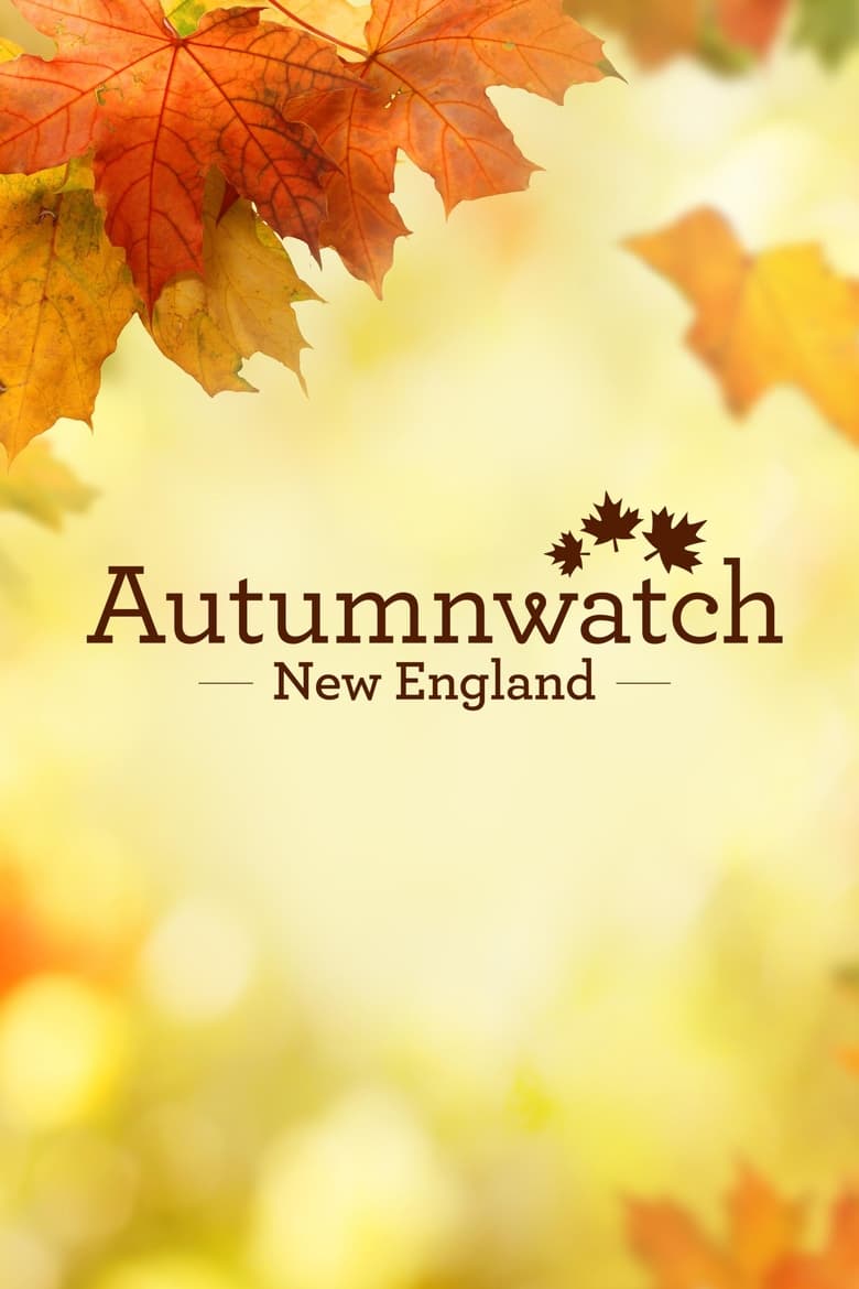 Autumnwatch New England (2018)