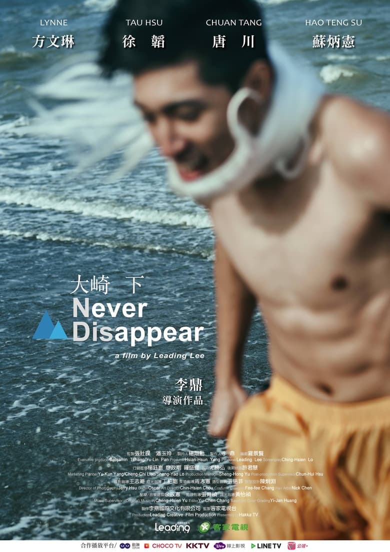 Never Disappear (2018)