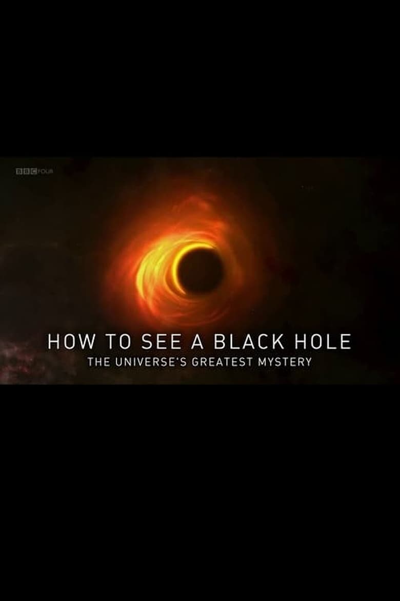 How to See a Black Hole: The Universe’s Greatest Mystery (2019)