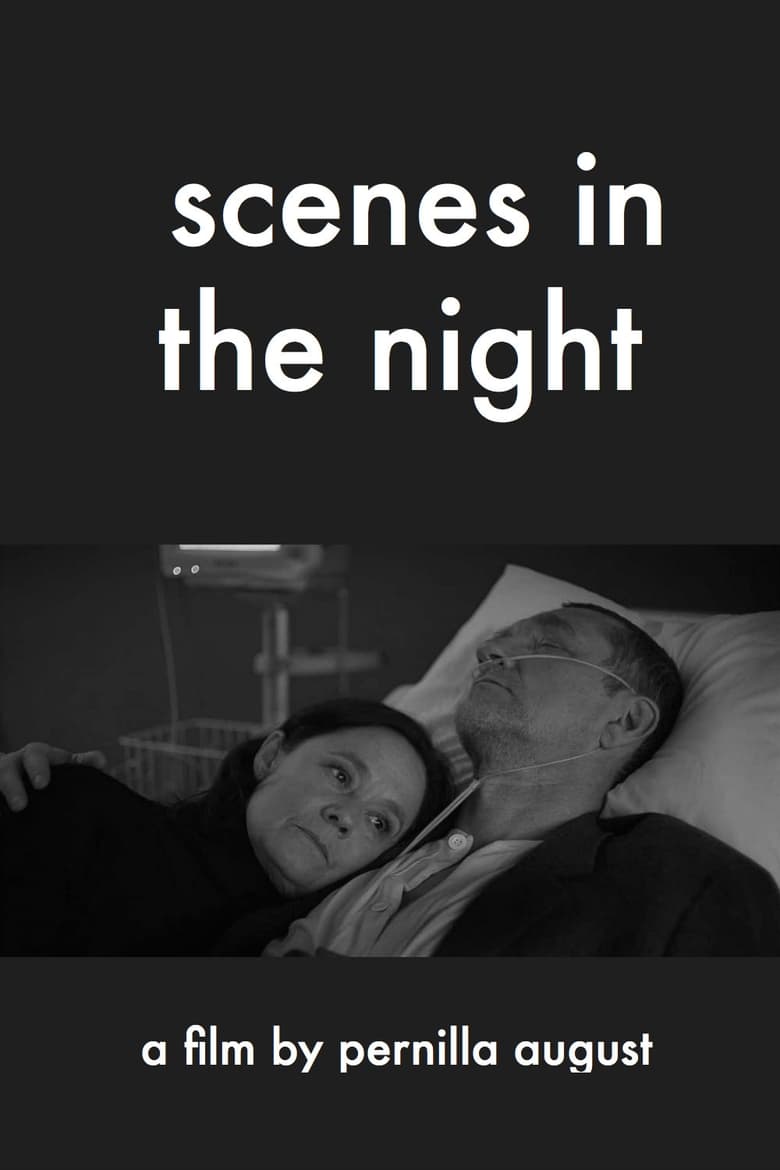 Scenes in the Night (2018)