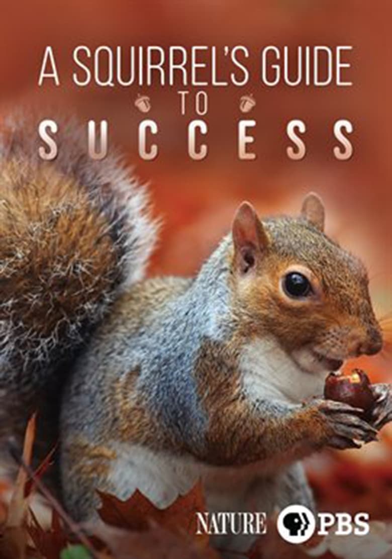 A Squirrel’s Guide to Success (2018)