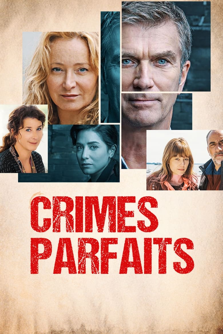 Crimes parfaits (2017)