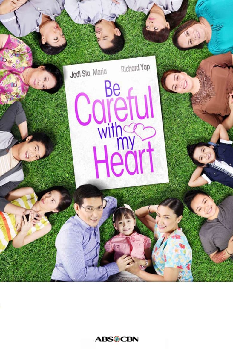 Be Careful With My Heart (2012)