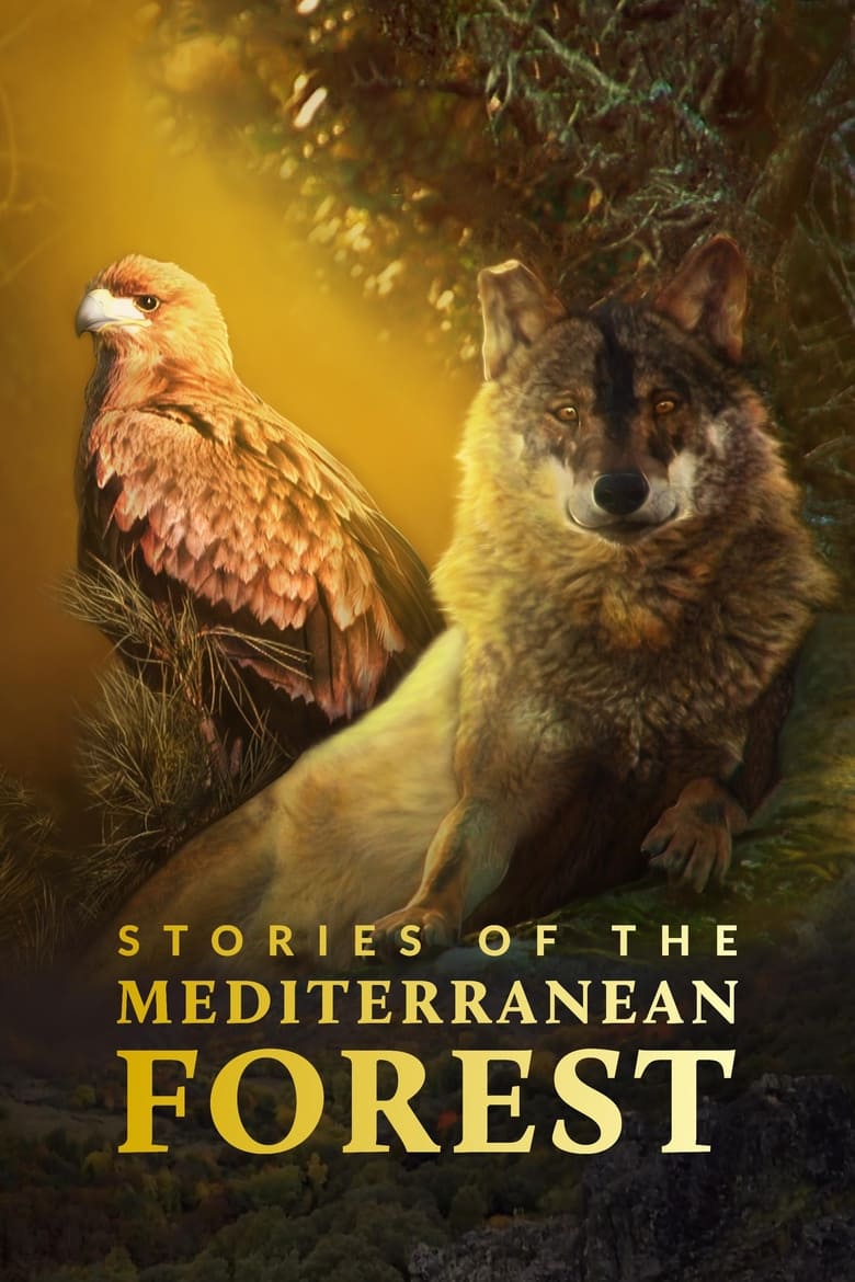 Stories of the Mediterranean Forest (2018)