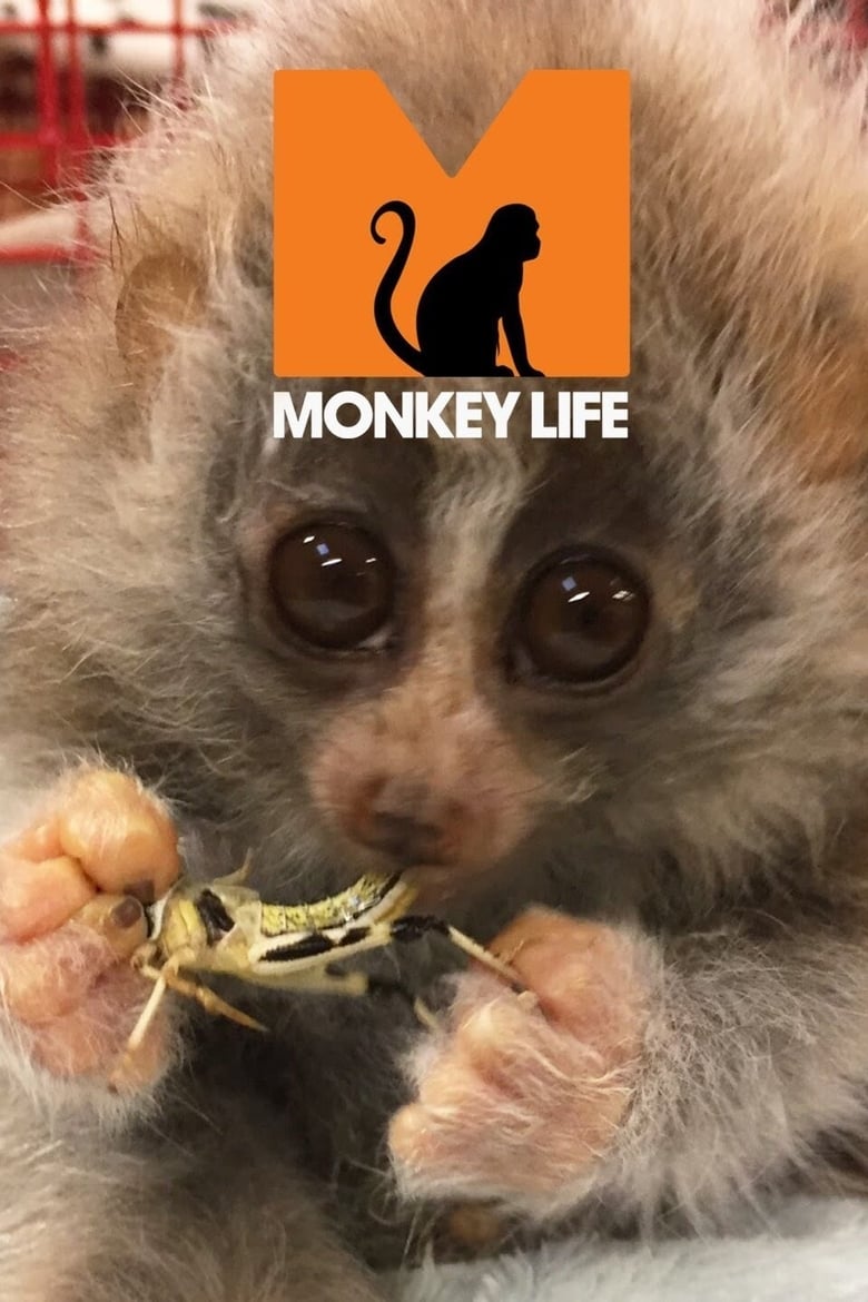 Monkey Life (2007)