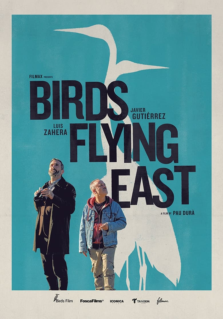 Birds Flying East (2024)