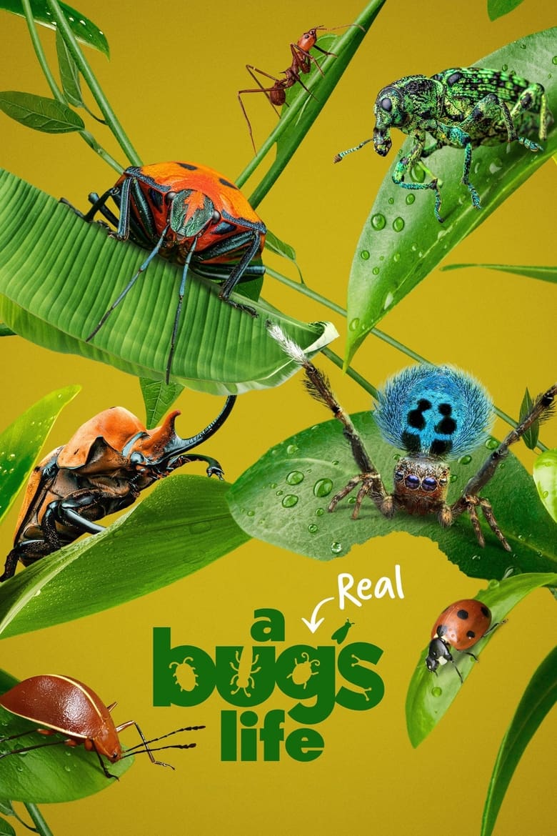 A Real Bug’s Life (2024)